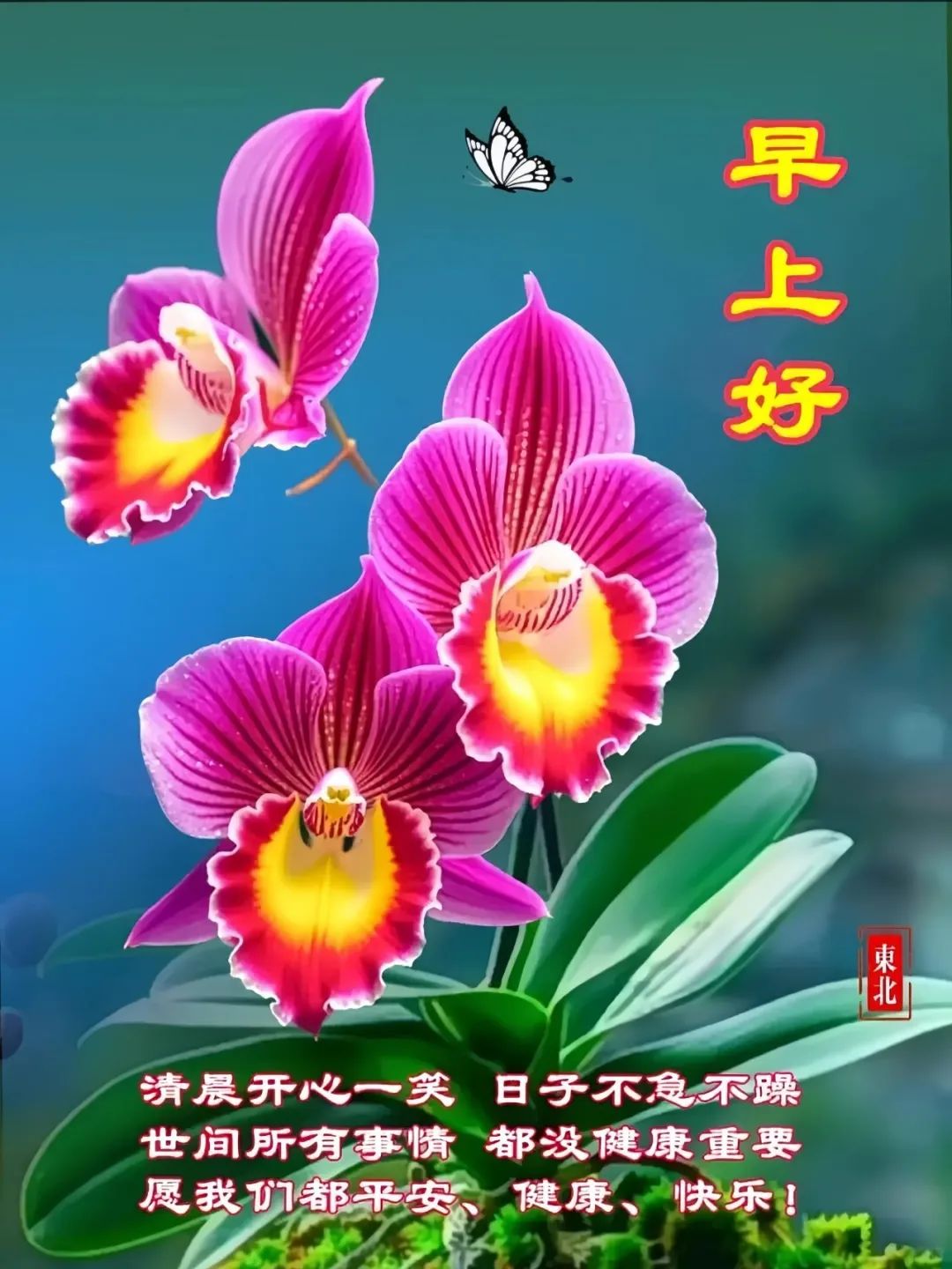 早安,早上好,上午好