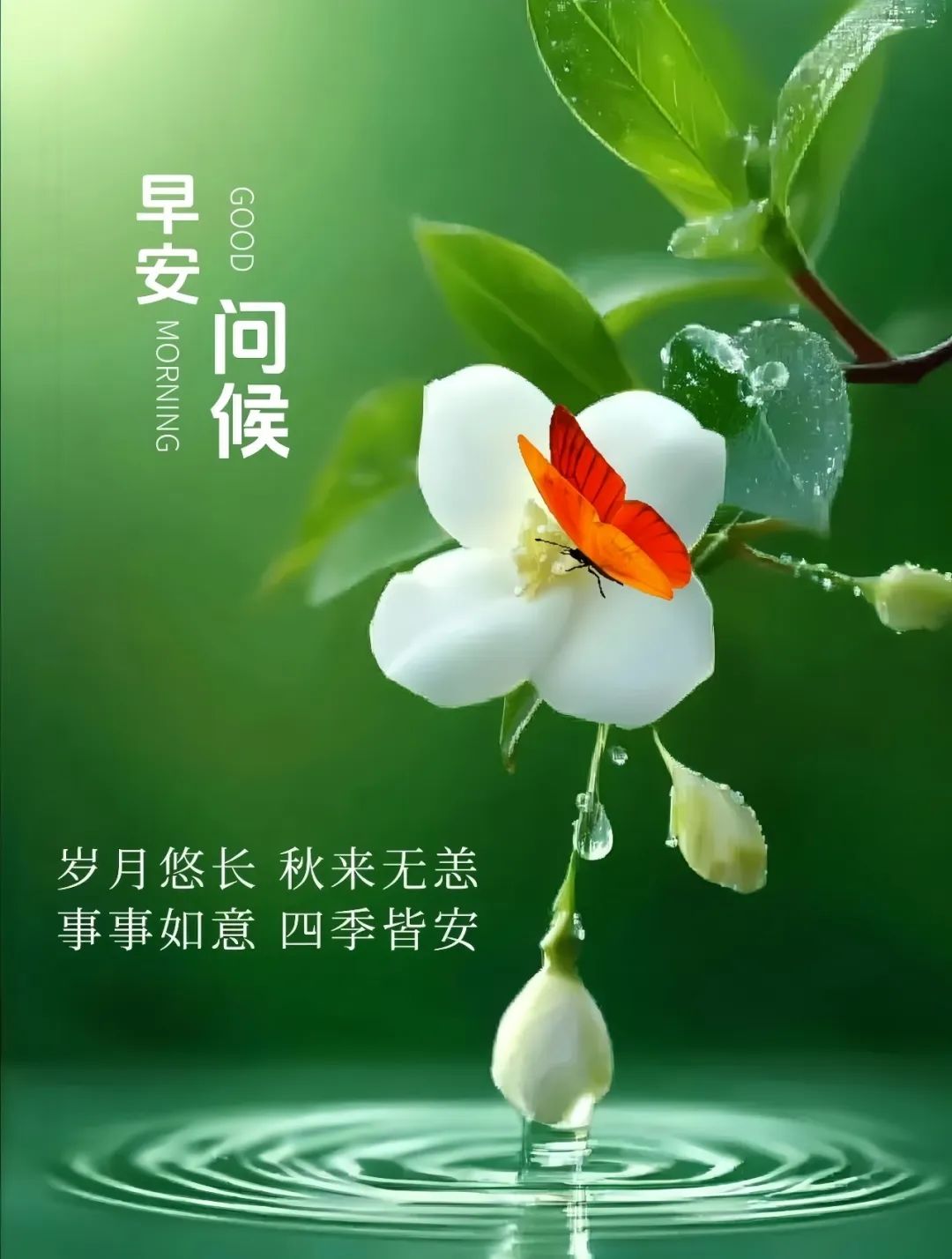 16条上午好图片漂亮祝福，最新上午好问候图片