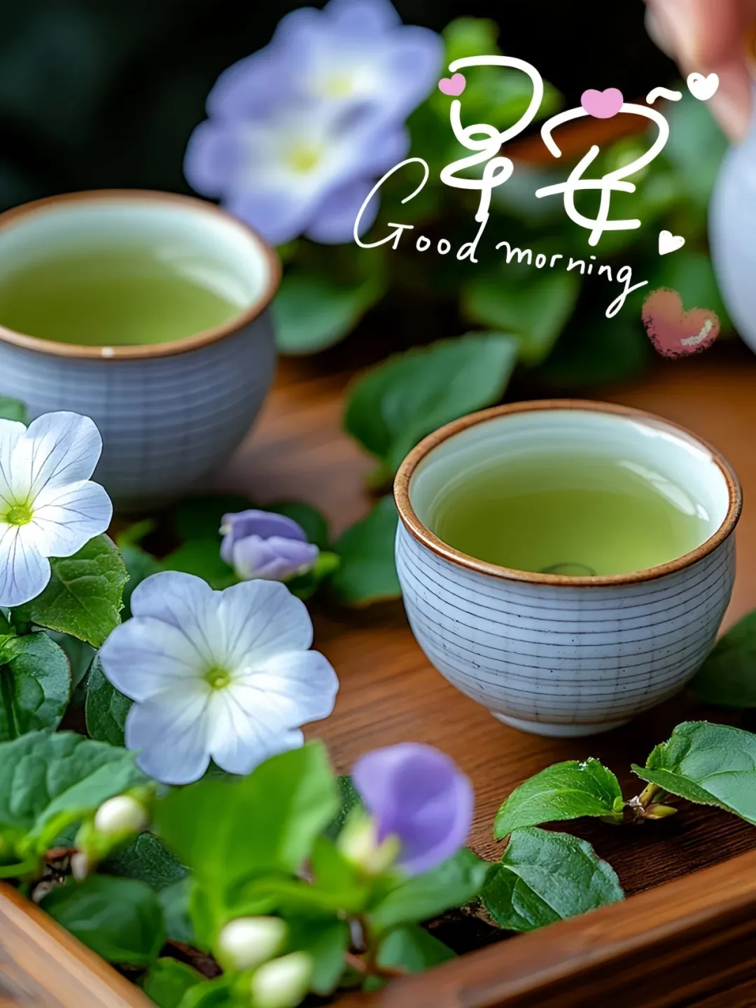 早安,早上好,上午好