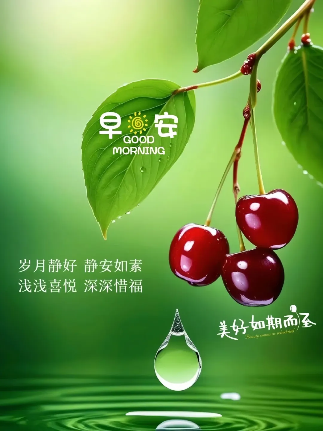 早安,早上好,上午好
