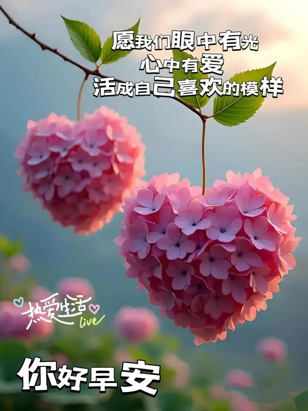 早安,早上好,上午好