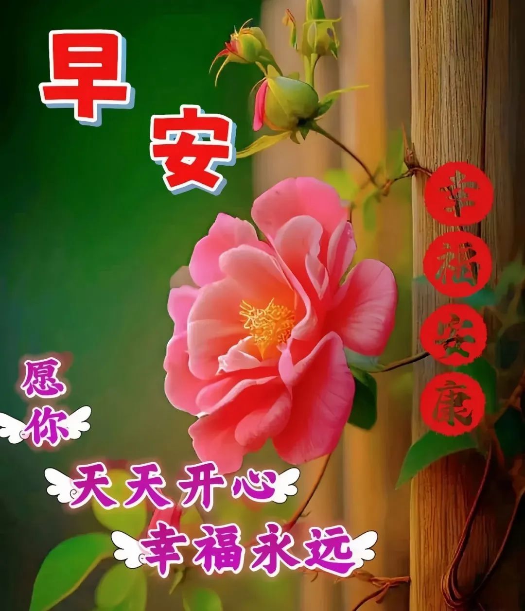 早安,早上好,上午好
