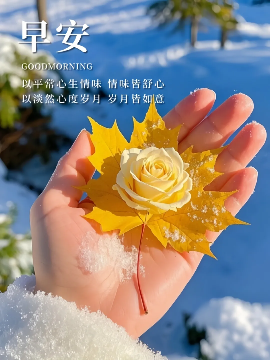早安,早上好,上午好