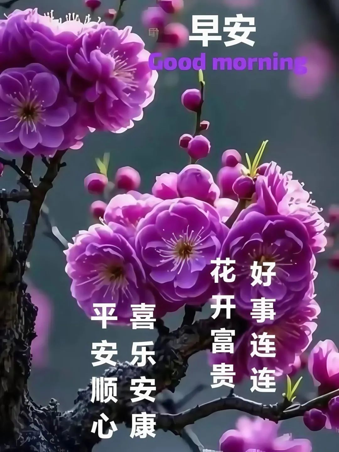 早安,早上好,上午好
