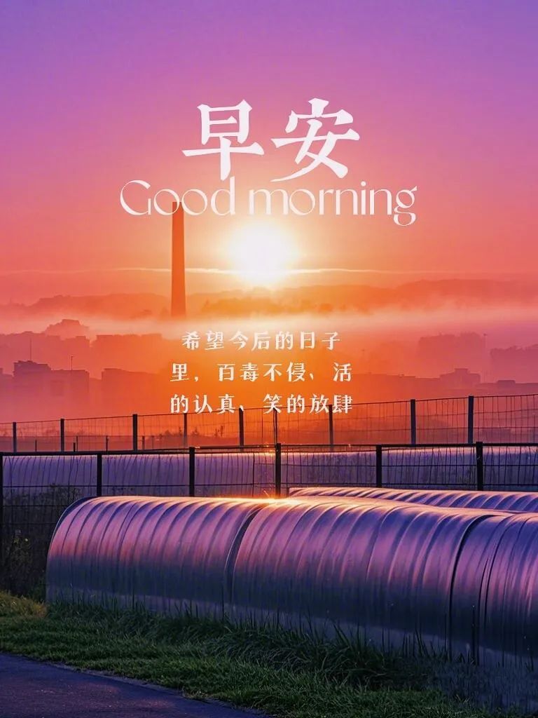 早安,早上好,上午好