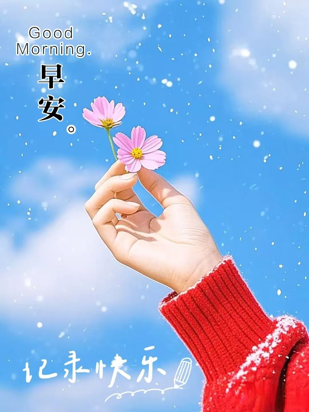 早安,早上好,上午好