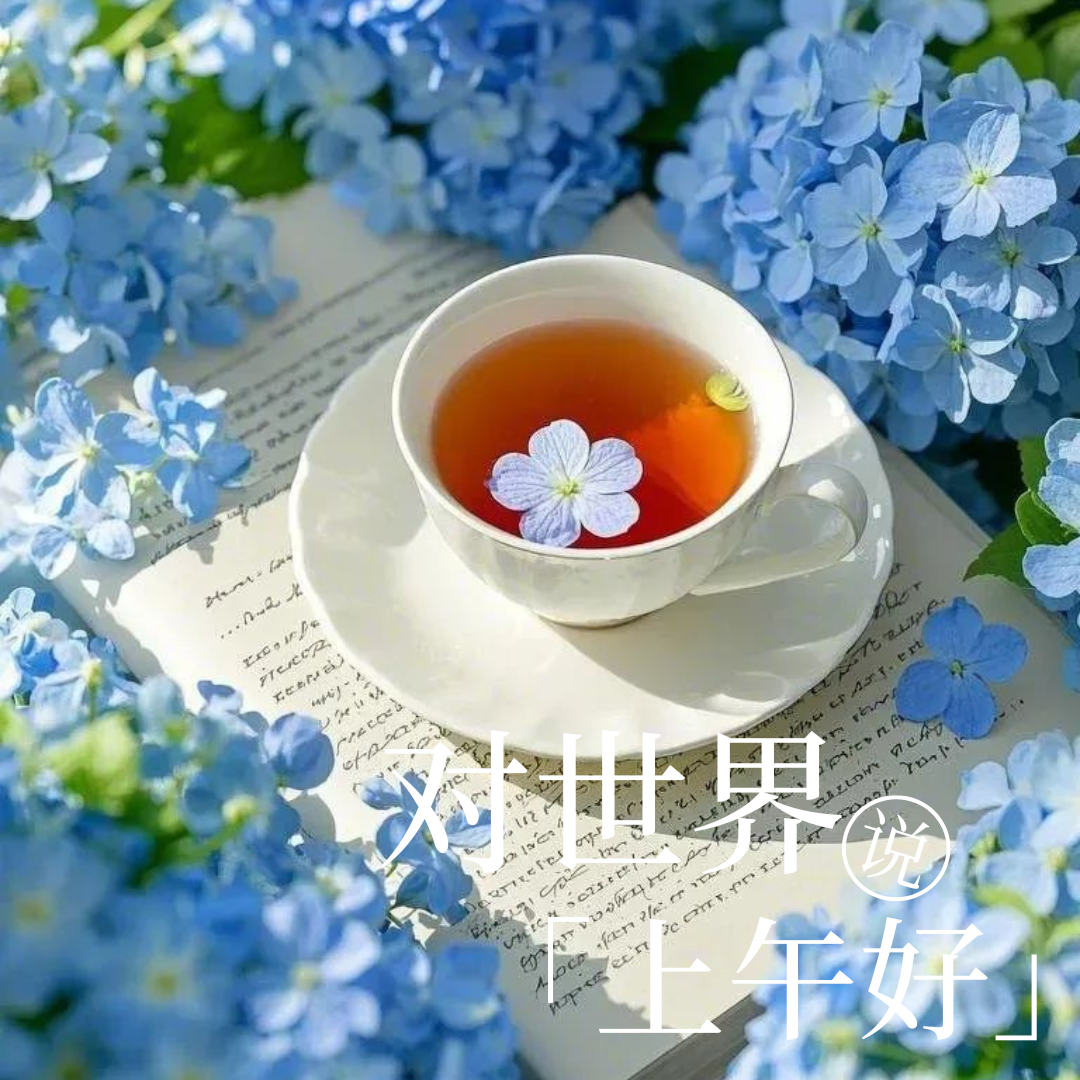 上午好