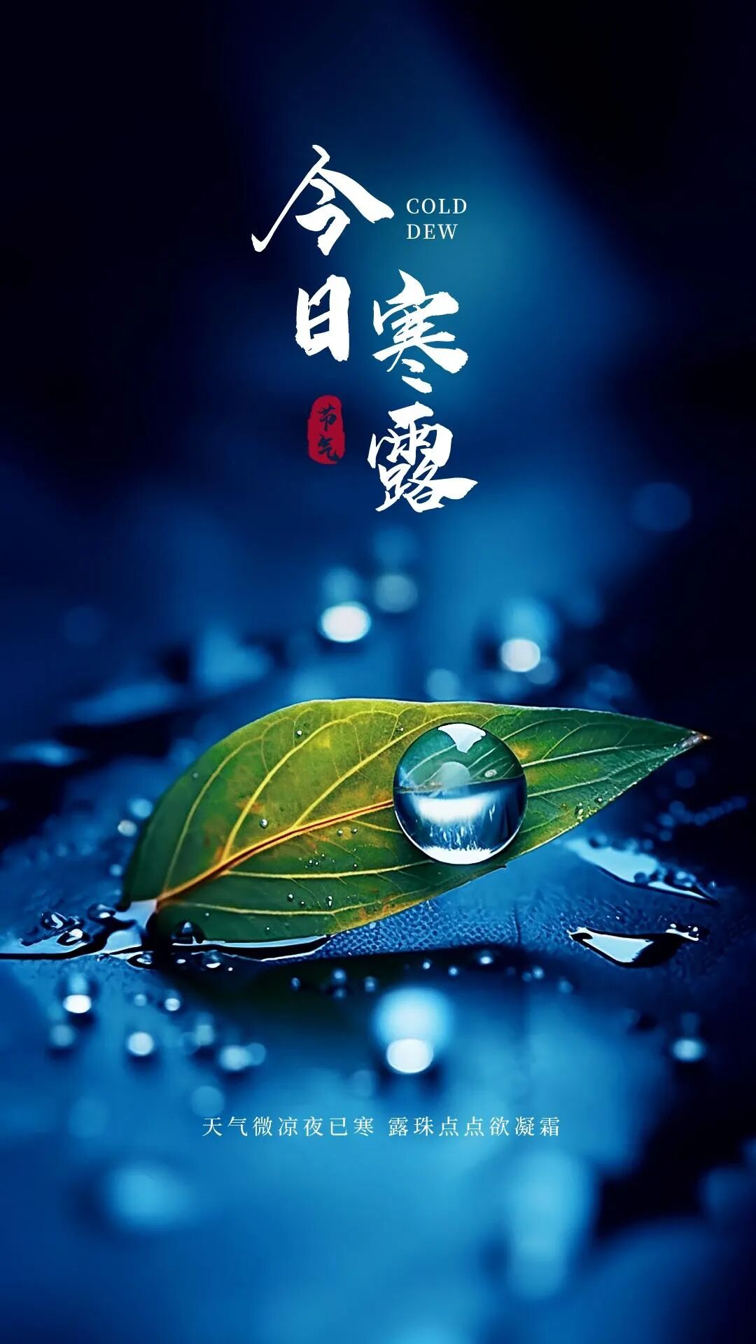 寒露