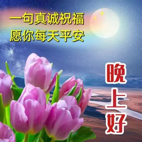 晚上好,晚安