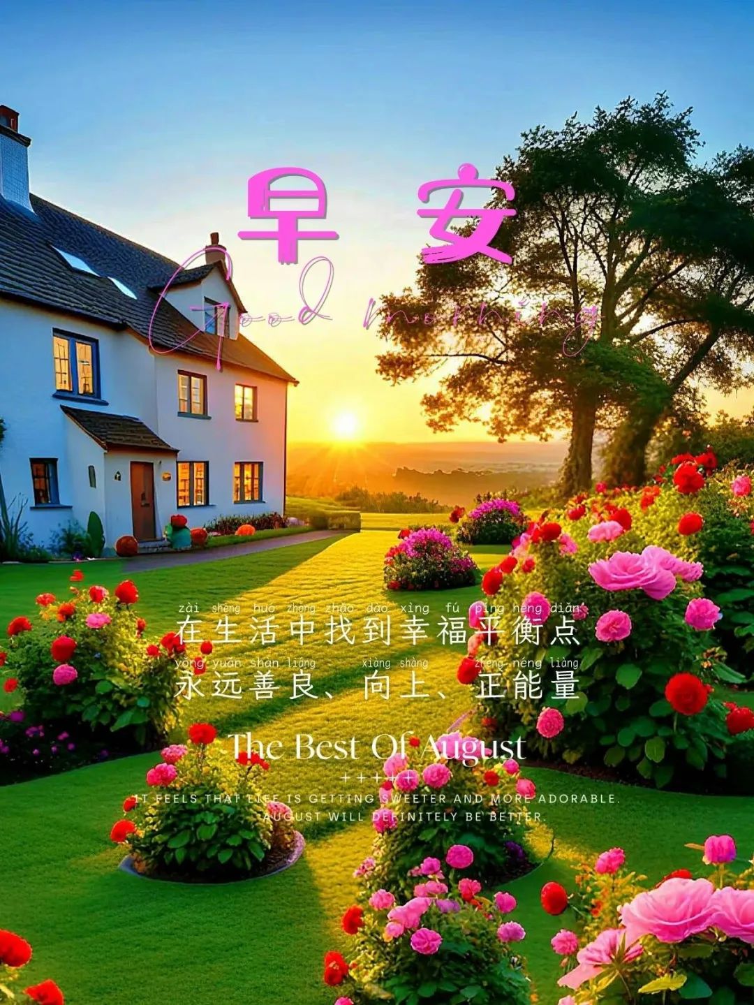 早安,早上好,上午好