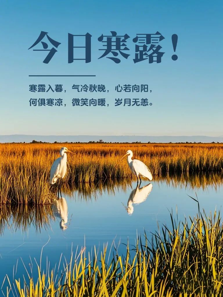 寒露