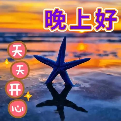 晚上好,晚安