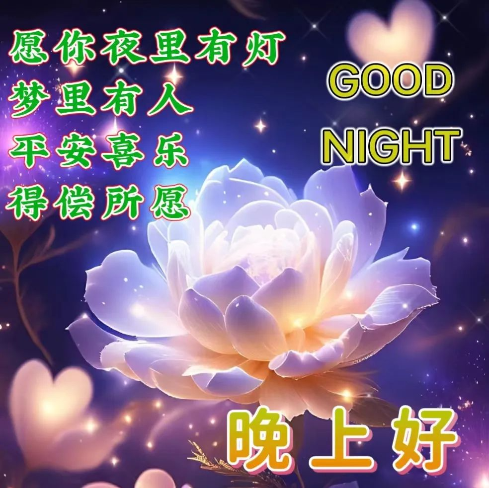 晚上好,晚安