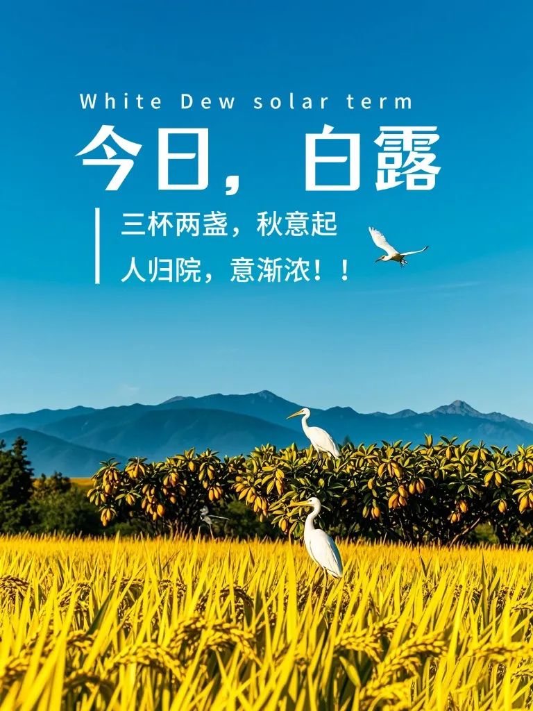 白露