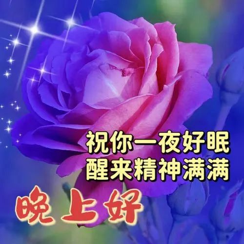 晚上好,晚安