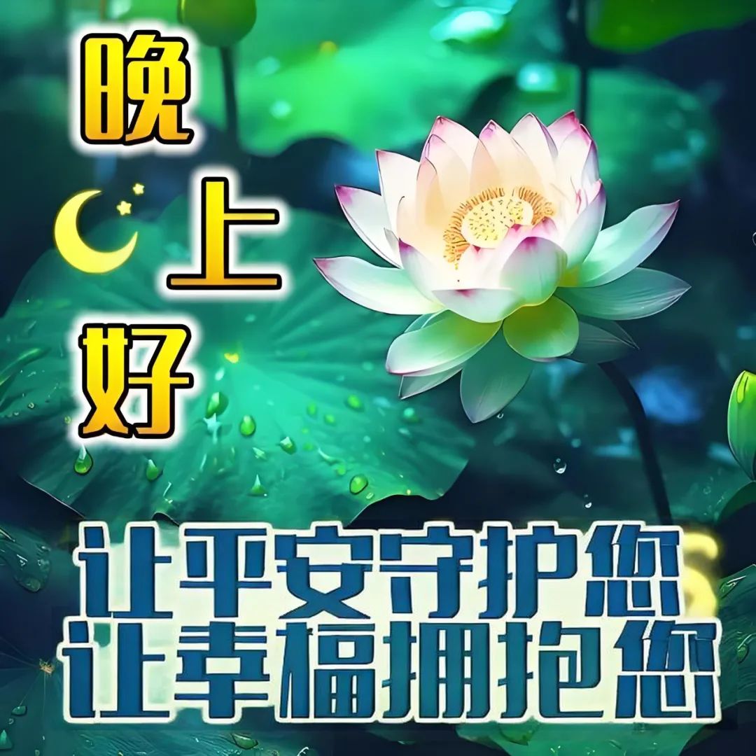 晚上好,晚安