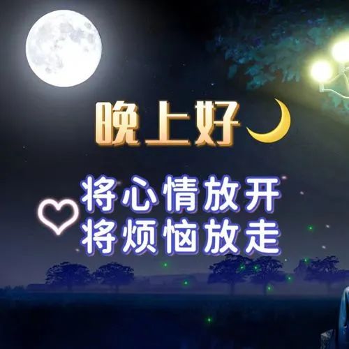晚上好,晚安