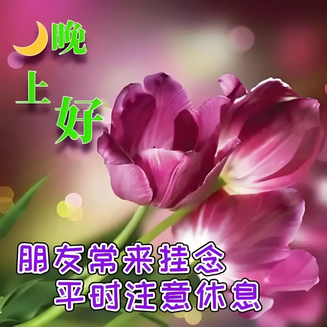 晚上好,晚安
