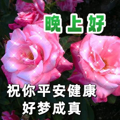 晚上好,晚安