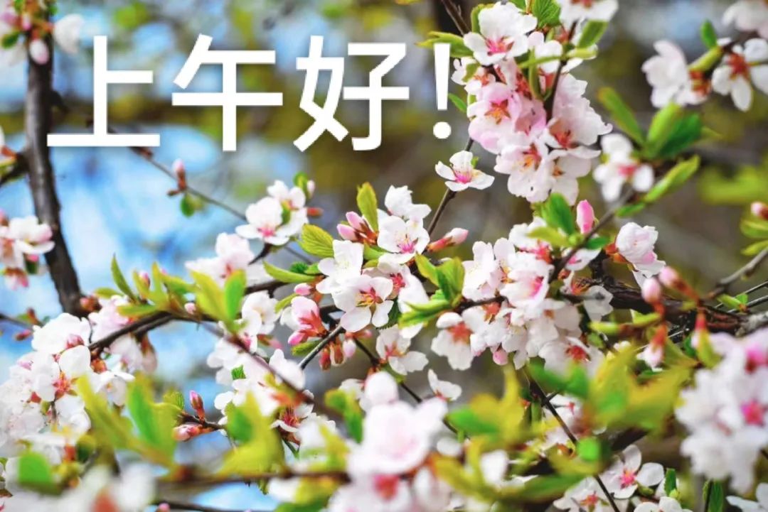 上午好