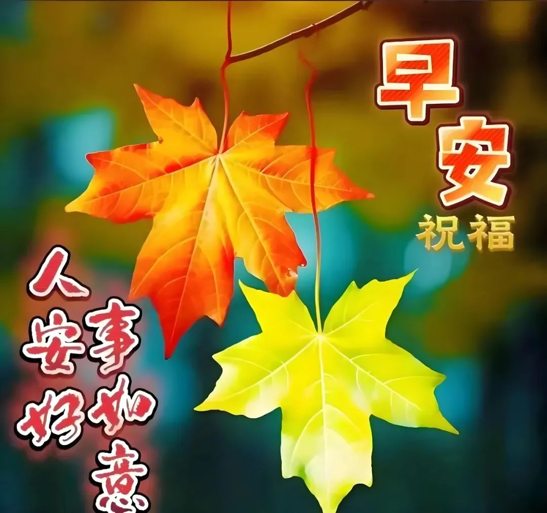 早安,早上好,上午好