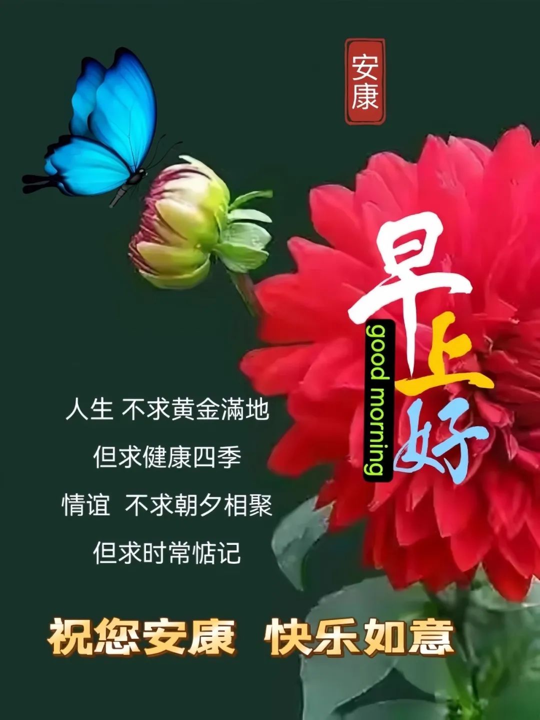 早安,早上好,上午好