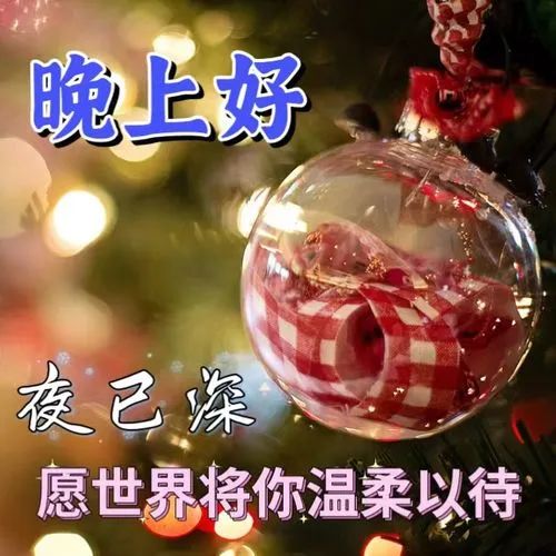 晚上好,晚安