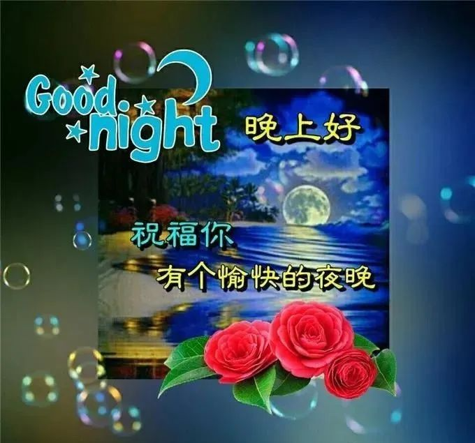 晚上好,晚安