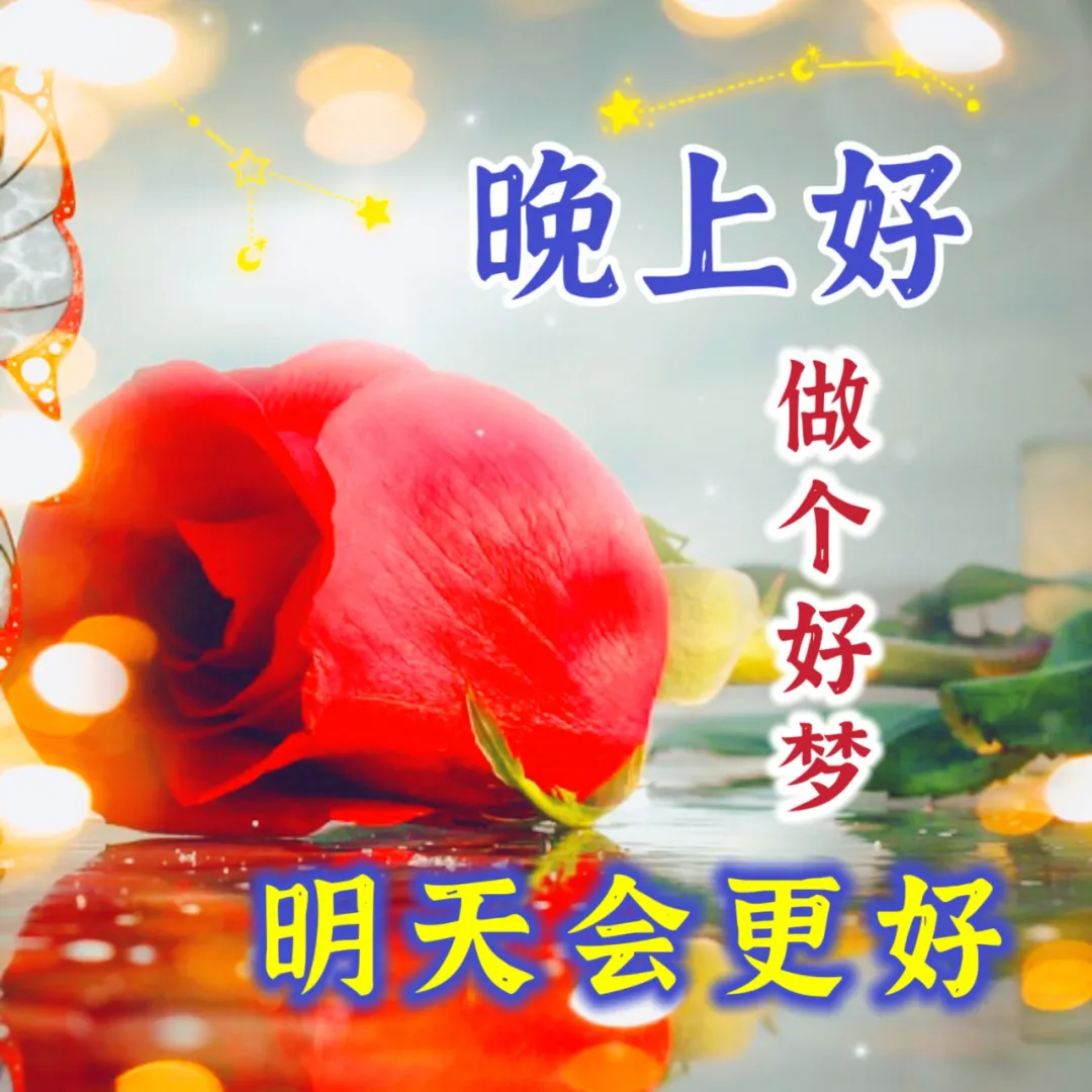 晚上好,晚安