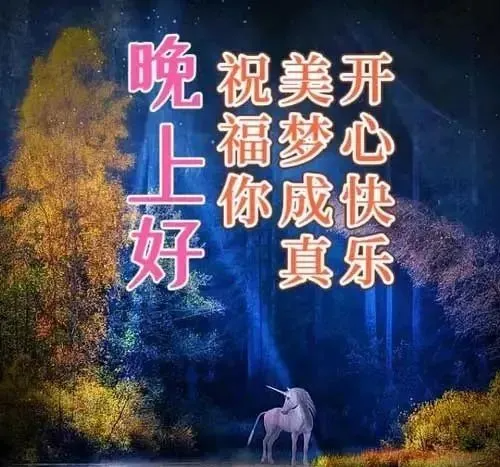 晚上好,晚安