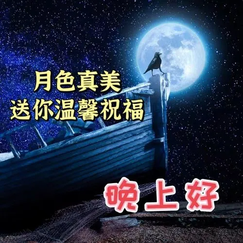 晚上好,晚安