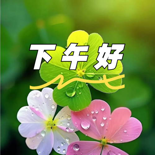 下午好
