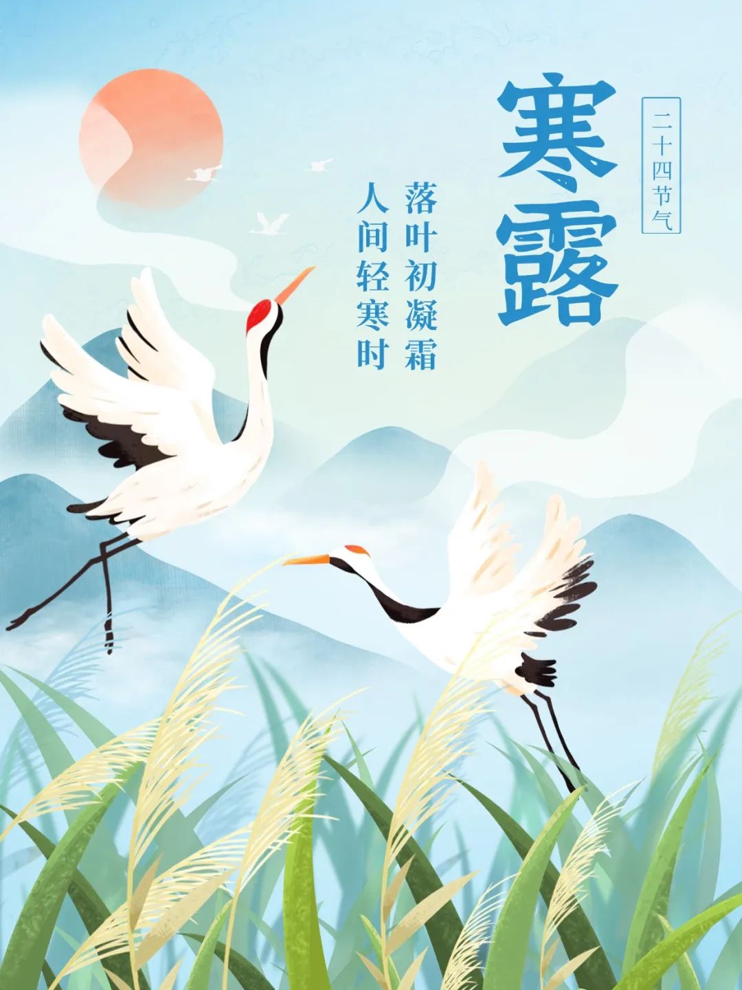 寒露