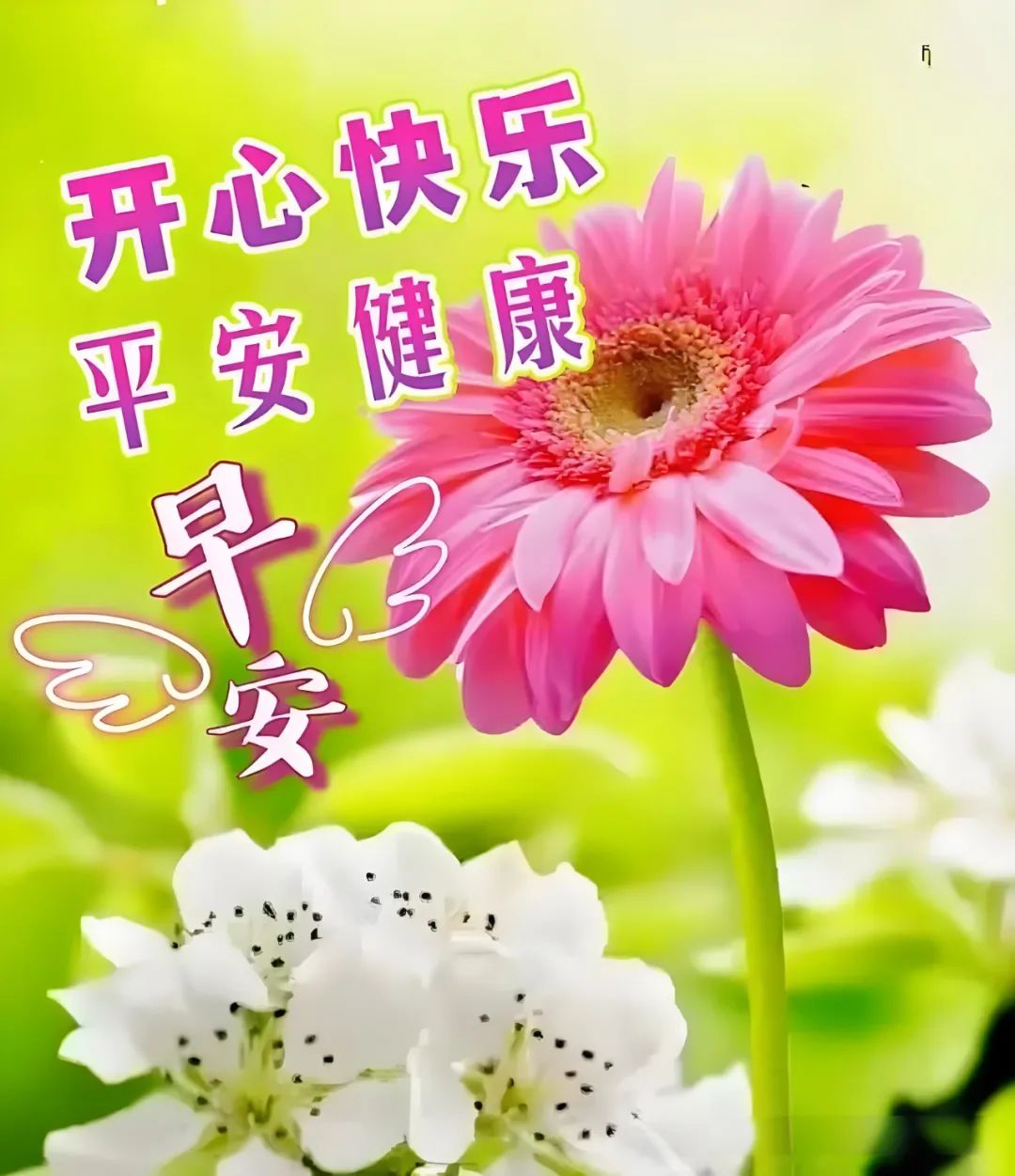 早安,早上好,上午好