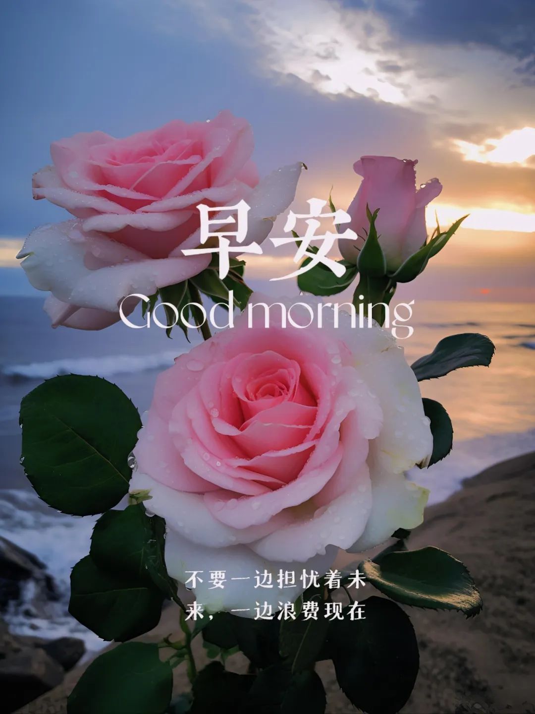 早安,早上好,上午好