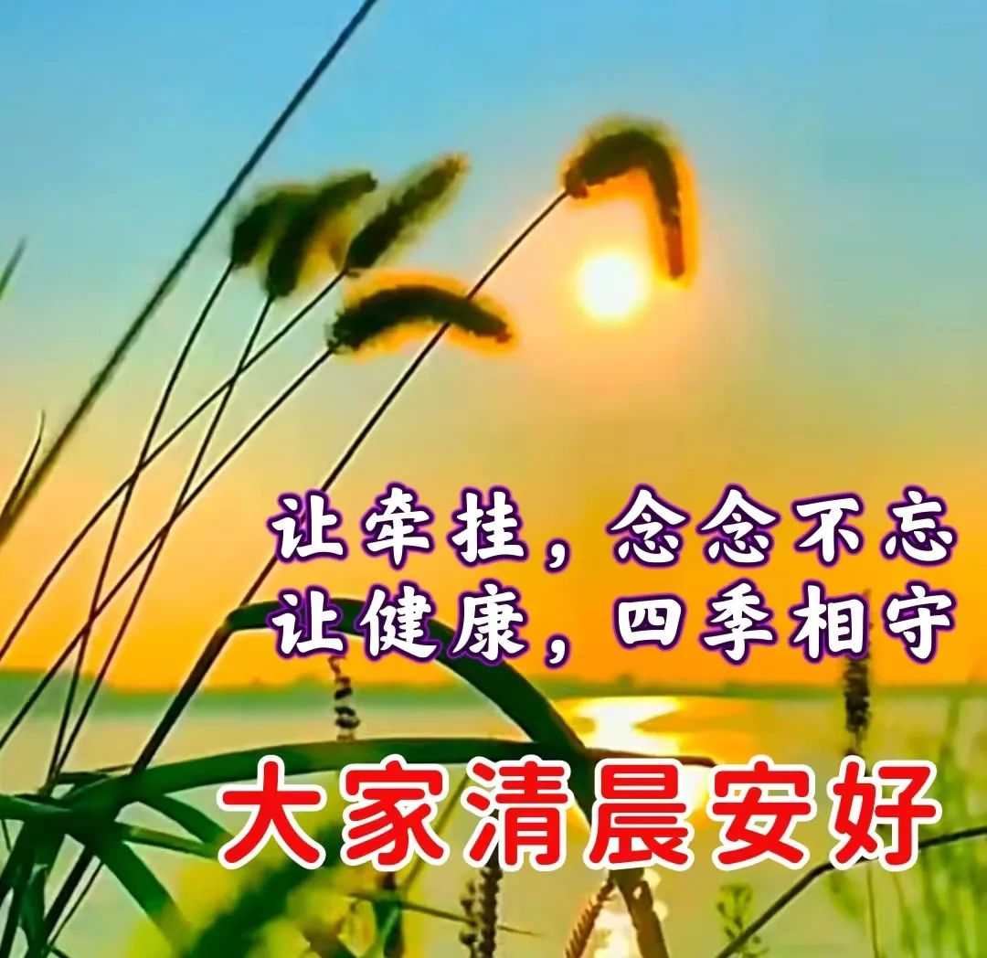 早安,早上好,上午好
