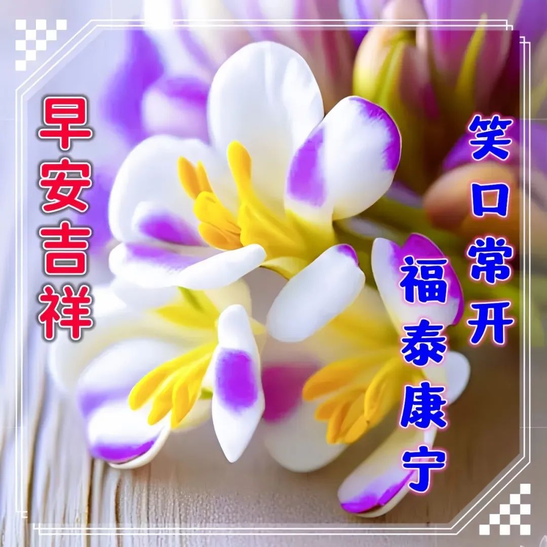 早安,早上好,上午好