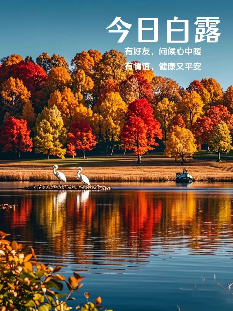 白露