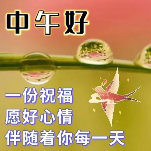 午安,中午好