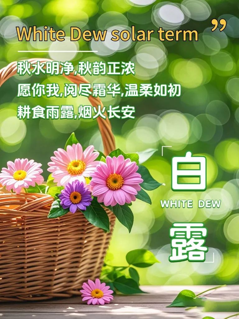 白露