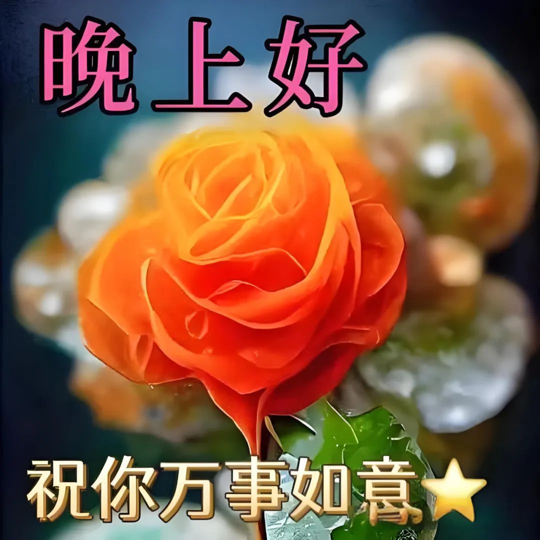 晚上好,晚安