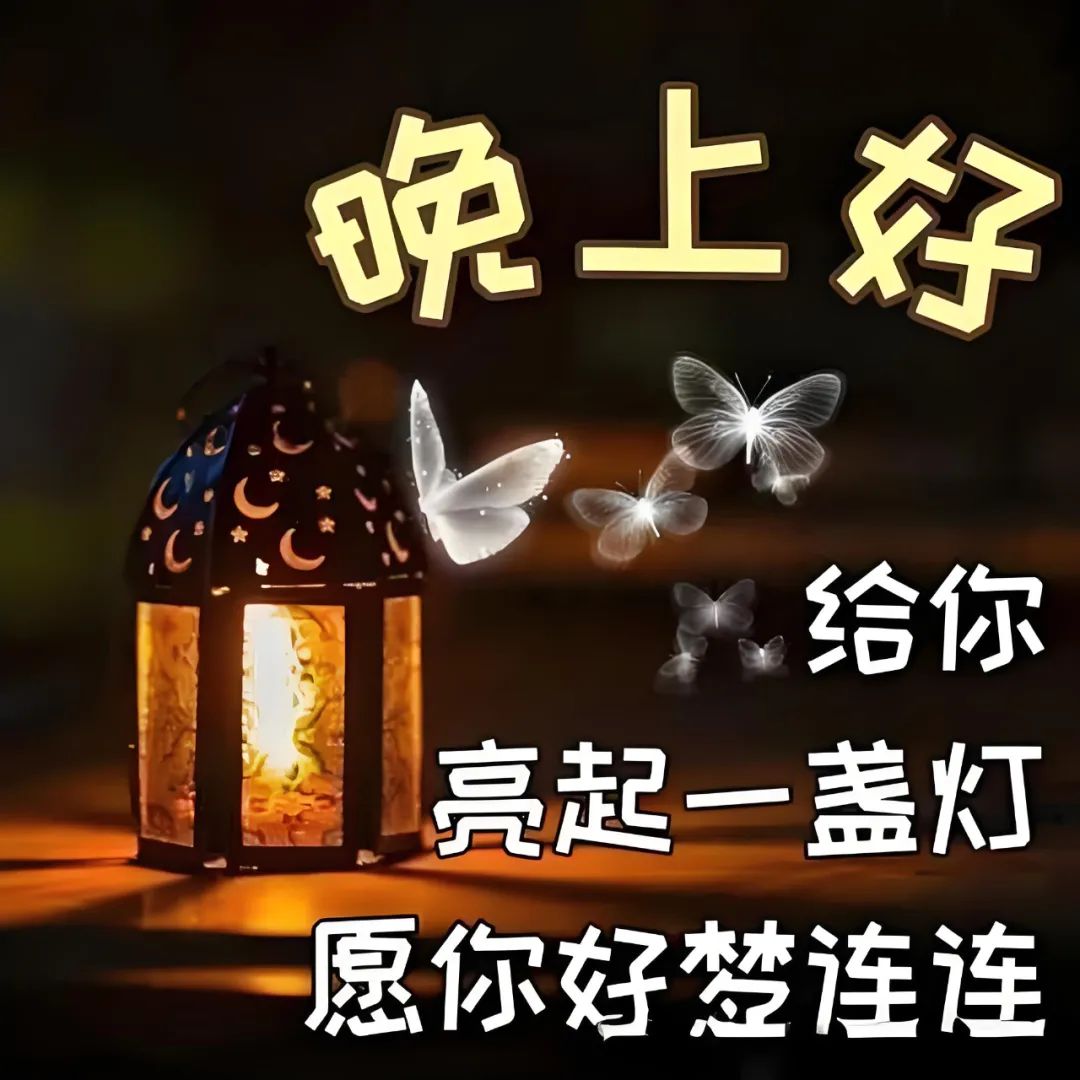 晚上好,晚安