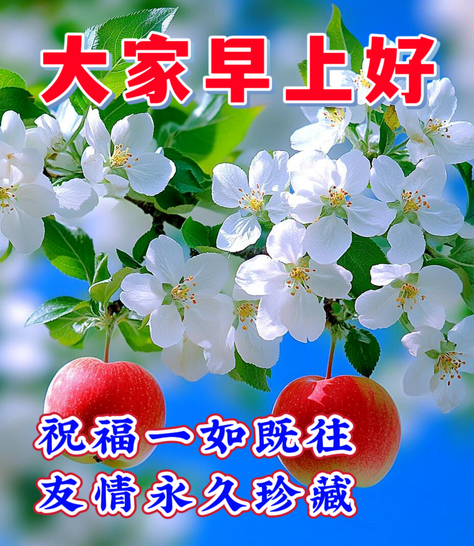 早安,早上好,上午好
