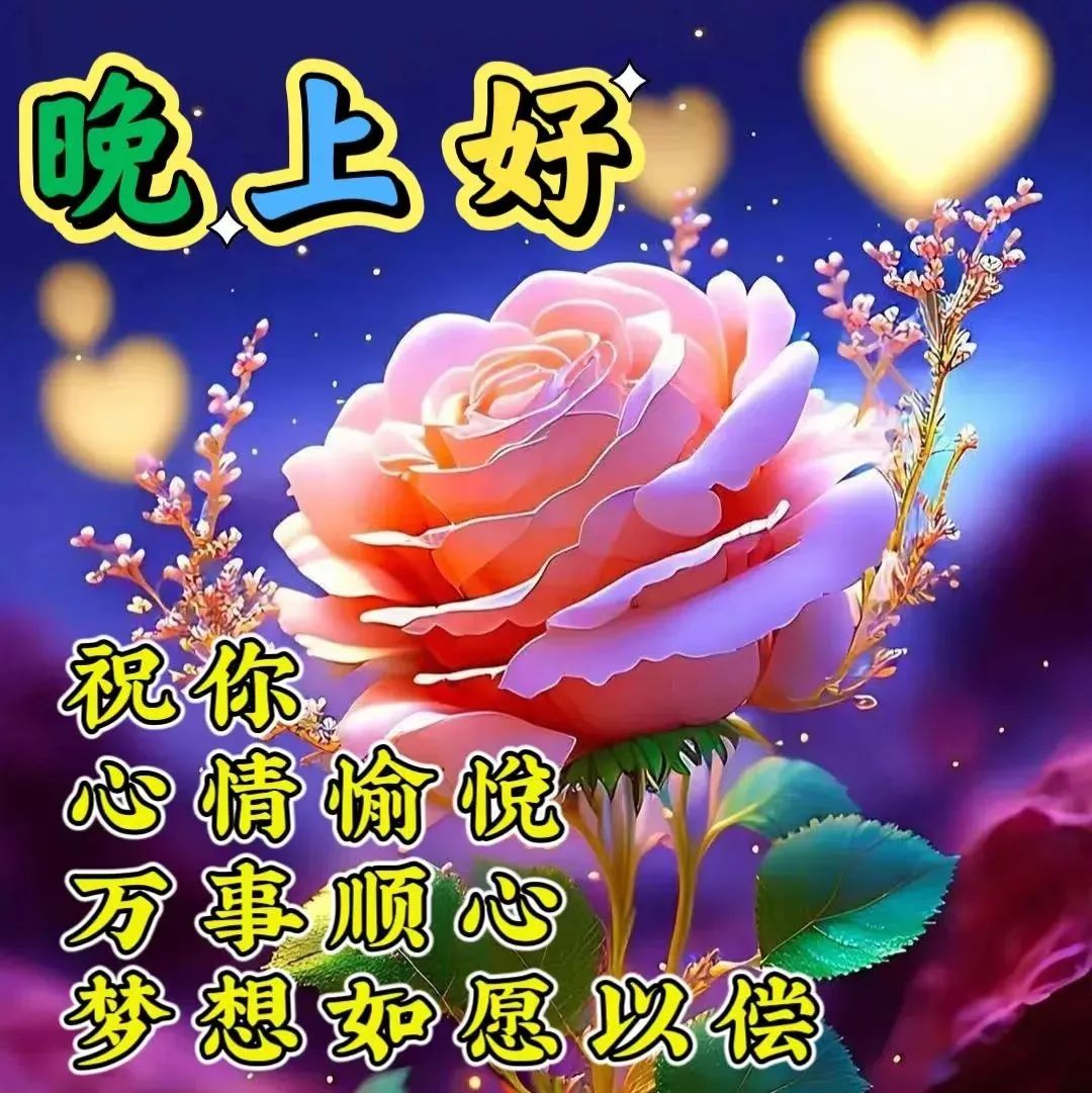 晚上好,晚安