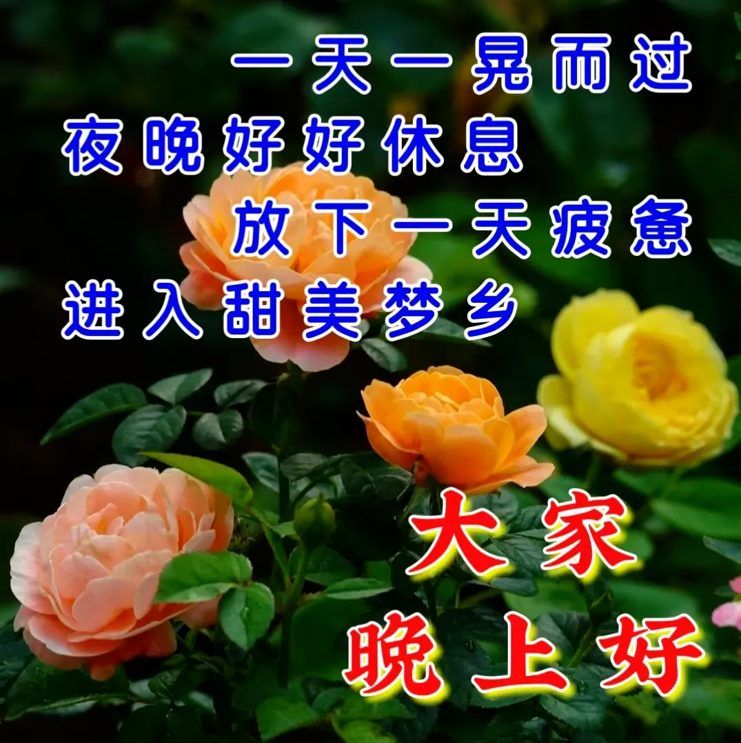 晚上好,晚安