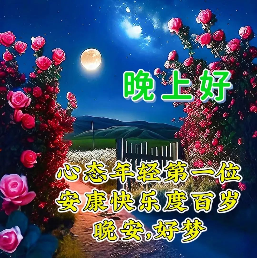 晚上好,晚安