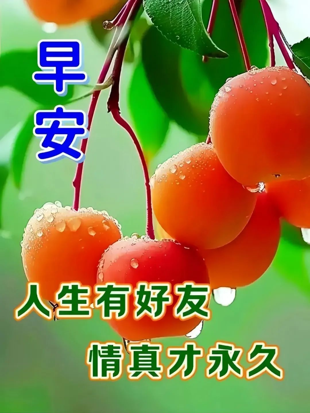 早安,早上好,上午好