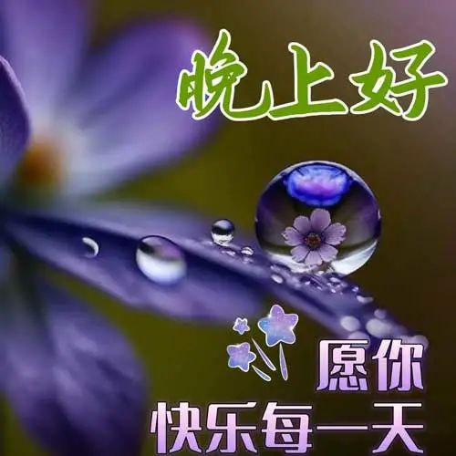 晚上好,晚安