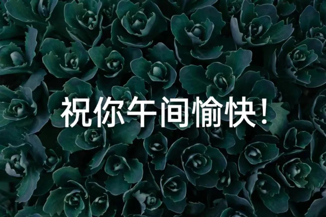精选最新最漂亮的中午好图片,说说笑笑过每秒,开开心心过每分