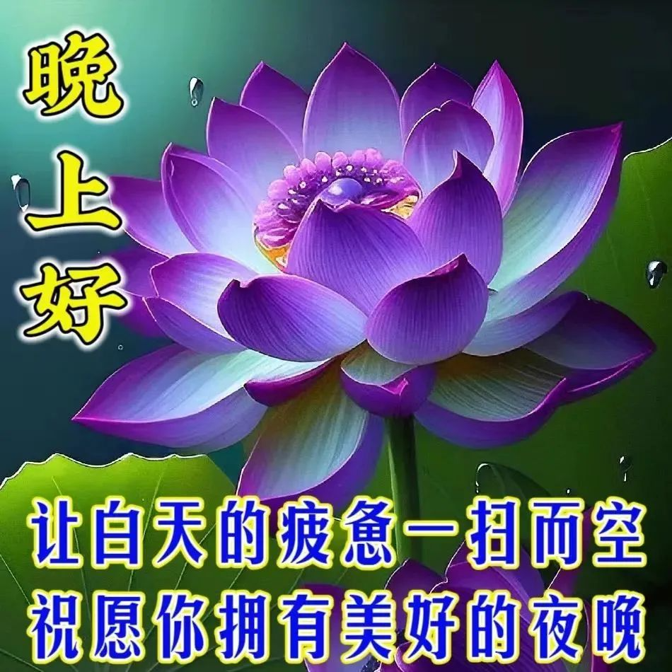 晚上好,晚安